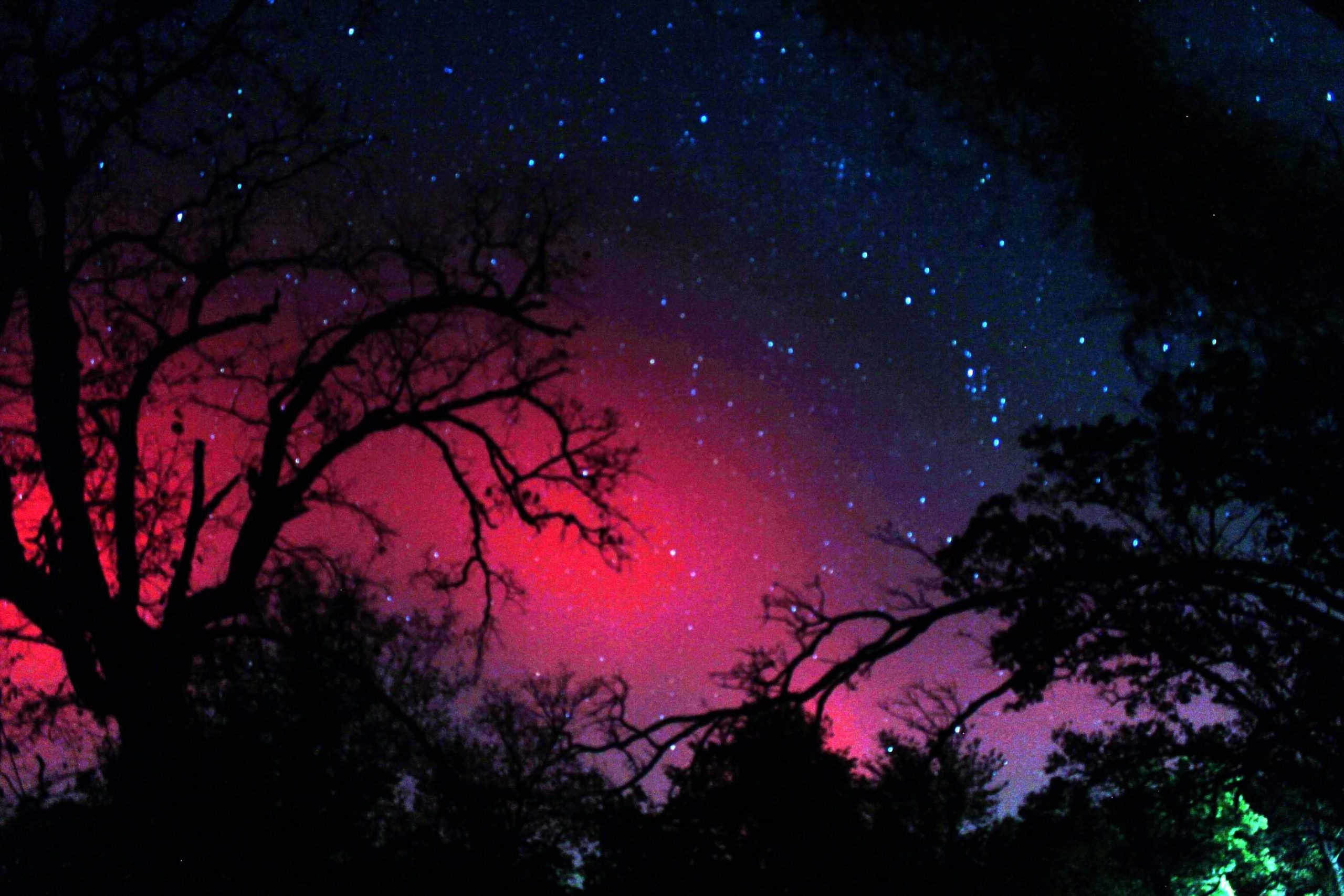 Połowa dorosłych ludzi na tej planecie nie wie, kim jest, …