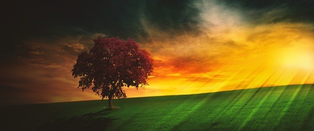 Było ich tylko czterech, więc Will miał znaczną przewagę.