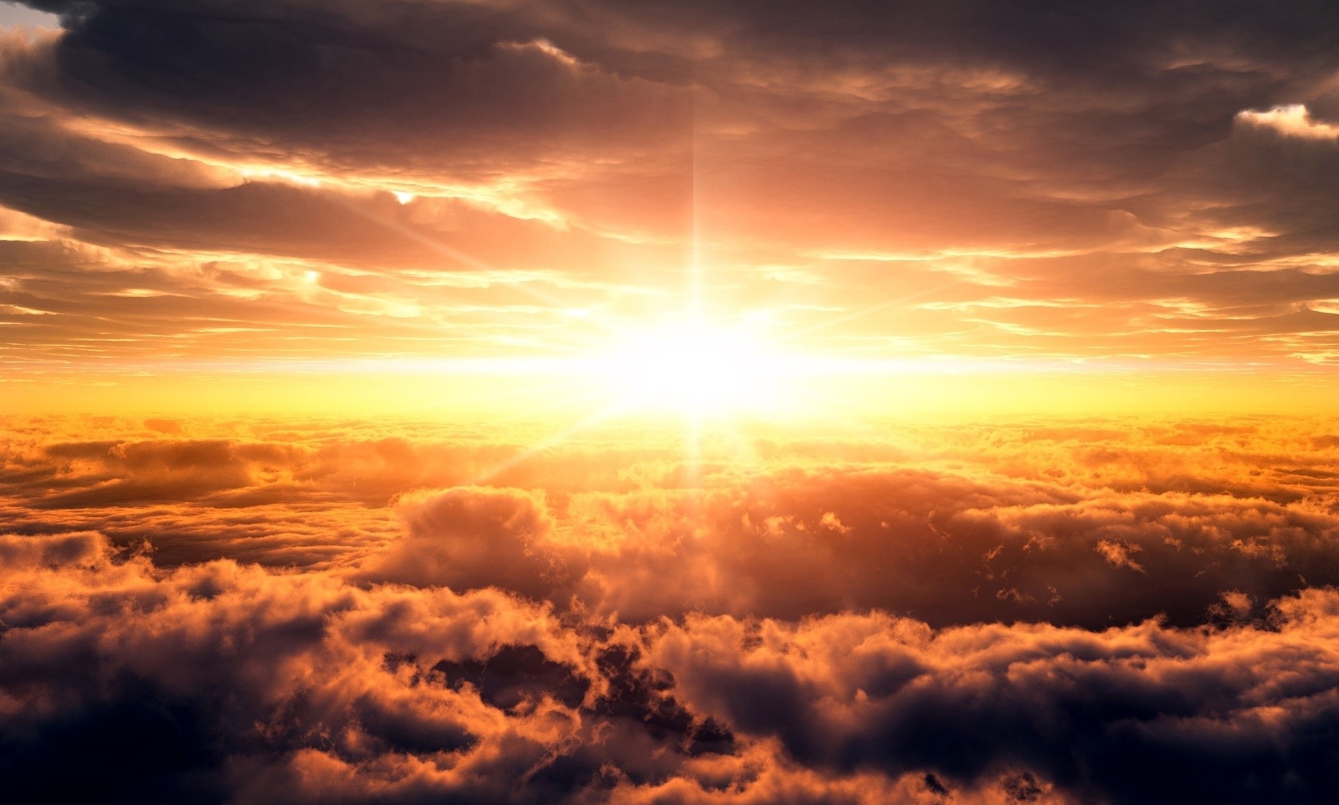 Życie jest jak rana – którą zapełnić można tylko rozkoszą.