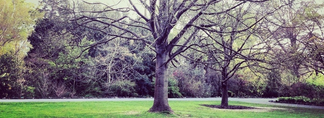 Nikt nie ma obowiązku kochania drugiego człowieka. Na miłość trzeba …