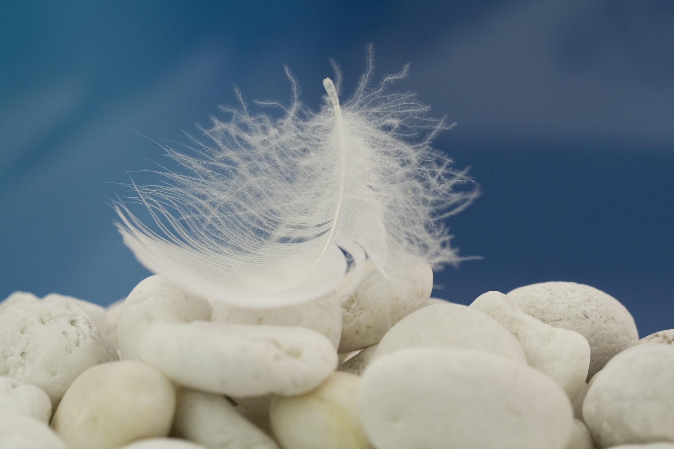 Nie znam odpowiedzi, ale kilka dni temu nie wiedziałem, że …