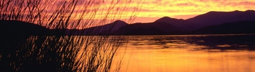 Może coś panom podać? Kieliszeczek cyjanku?