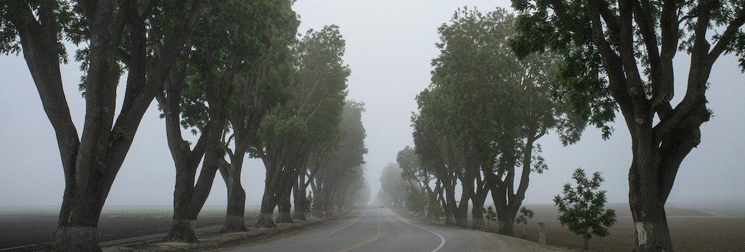 Pisanie jest jak całowanie, tyle że bez ust. Pisanie jest …