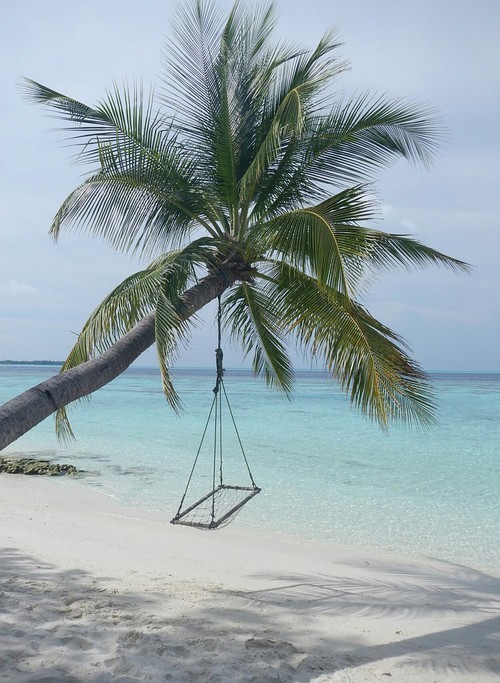 Zgrzeszyć w dobrym celu jest cnotą, użyć cnoty w złym …