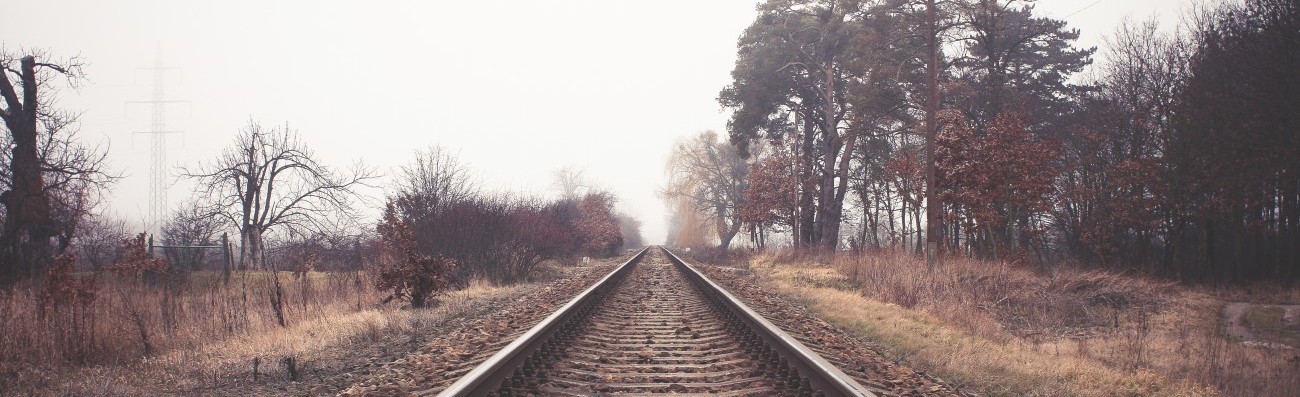 Przez rodziców i zasrana szkołę człowiek ma później prawie bez …