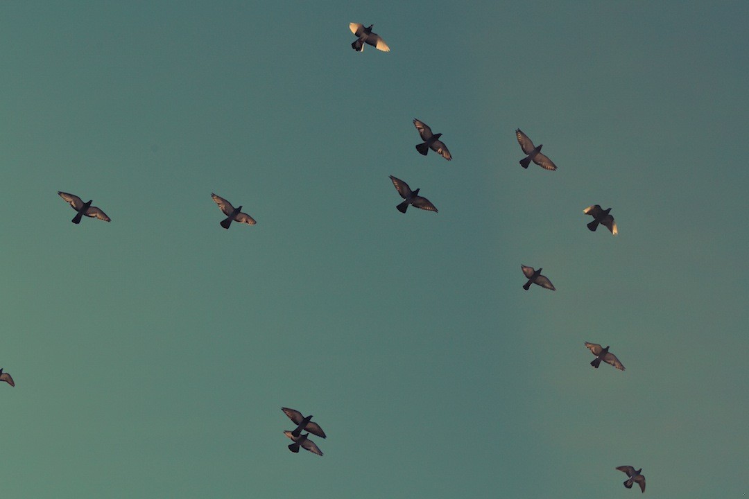 Tutaj (…), aby utrzymać się w tym samym miejscu, trzeba …