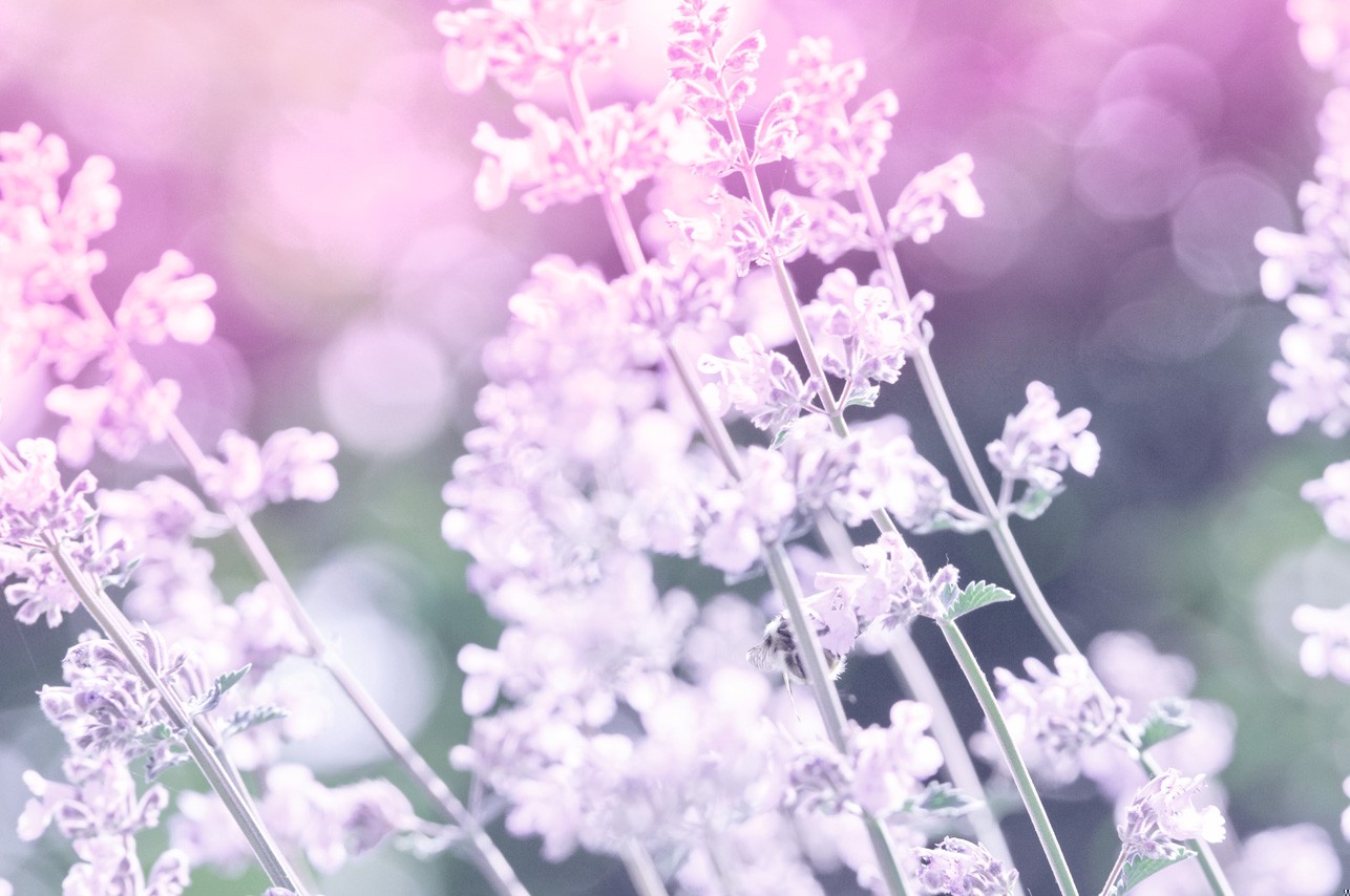 Nie tylko do poznania prawdy trzeba być przygotowywanym. Do zobaczenia …