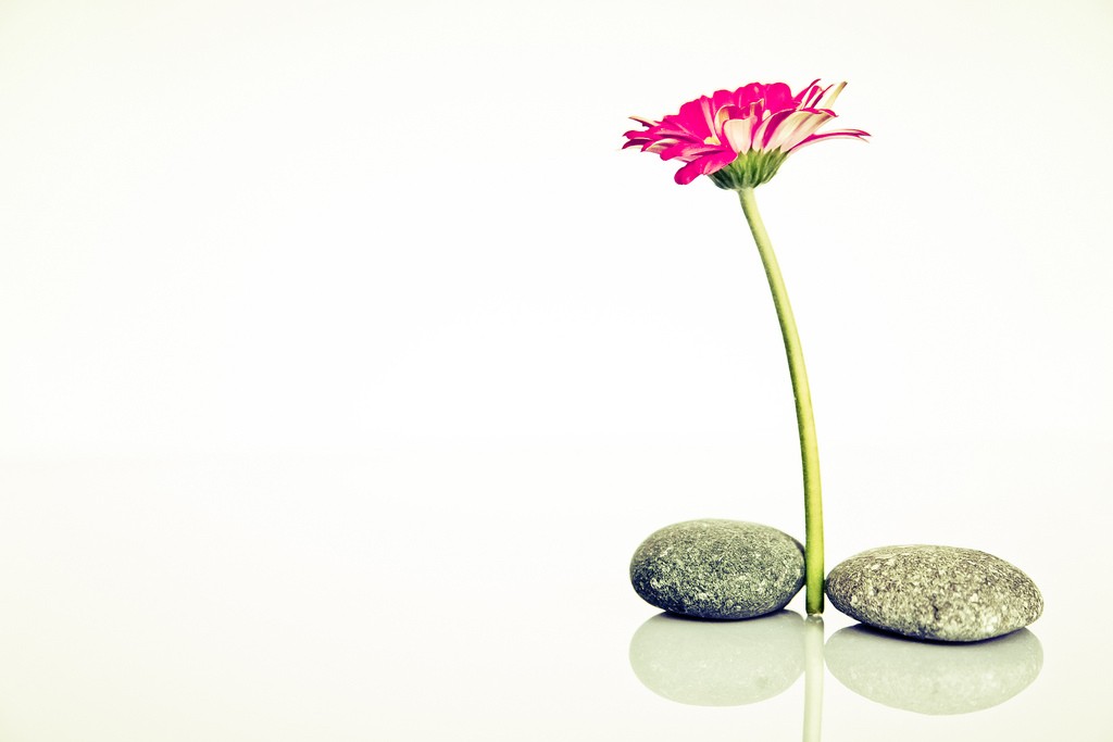 Życie ogólnie jest proste. Tylko ludzie je sobie niepotrzebnie komplikują.