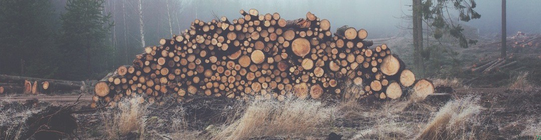 Pokuta i żal to dwie różne rzeczy, jedno bez drugiego …