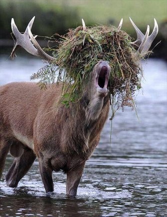 Nikt nie jest bardzie ślepy od tych, co chcą przejrzeć …