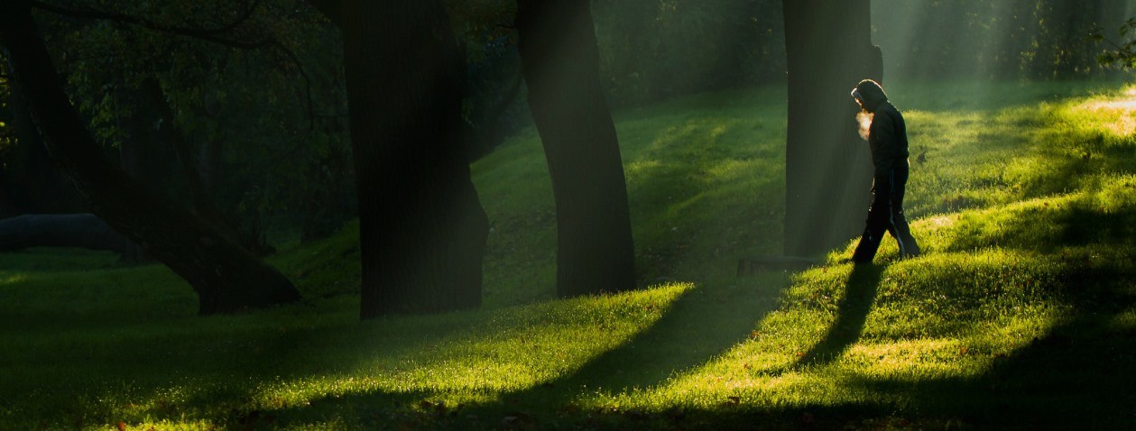 Moje dni upływają pomiędzy logiką, gwizdaniem, chodzeniem na spacery i …