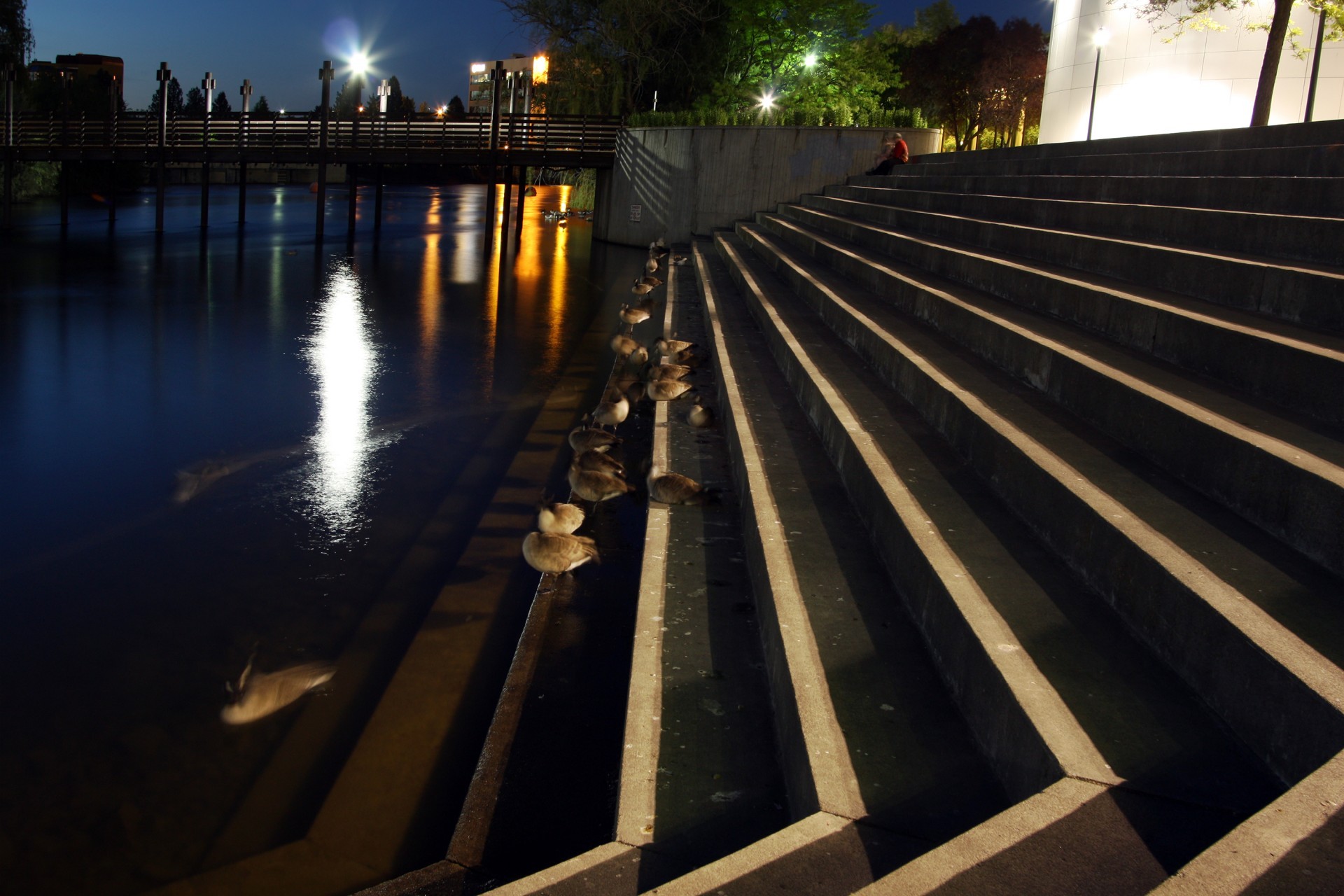 Granice mojego języka wyznaczają granice mojego świata.