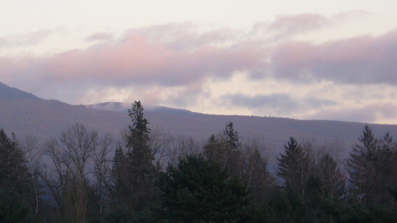 Śmieszne, jak czasami blisko jest przeszłość. Wydaje się, że wystarczy …