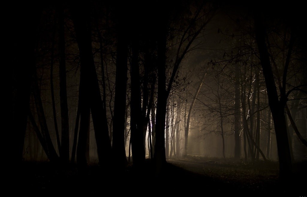 Nie możemy cały czas żyć w świetle. Tyle światła, ile …