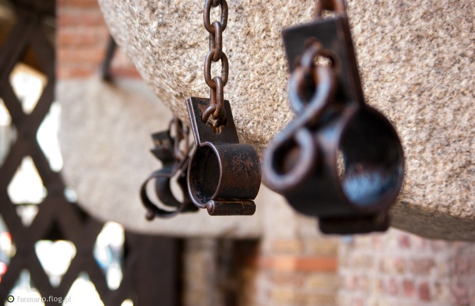 Nie ma czegoś takiego jak wolność, są tylko różne rodzaje …