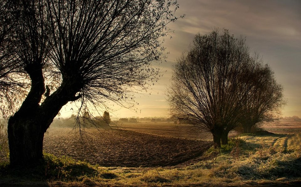 Gdziekolwiek byśmy szli, idziemy ku śmierci.