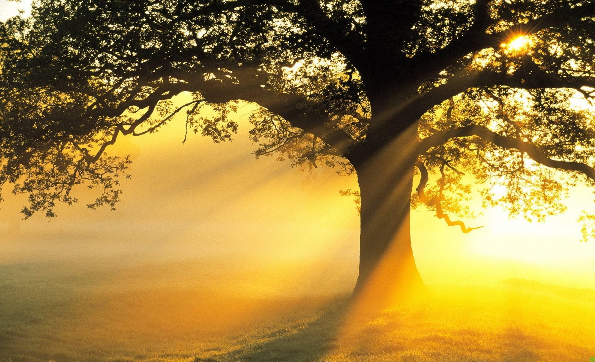 Bo kiedy wychodzi się z ciemności, słońce wydaje się jeszcze …