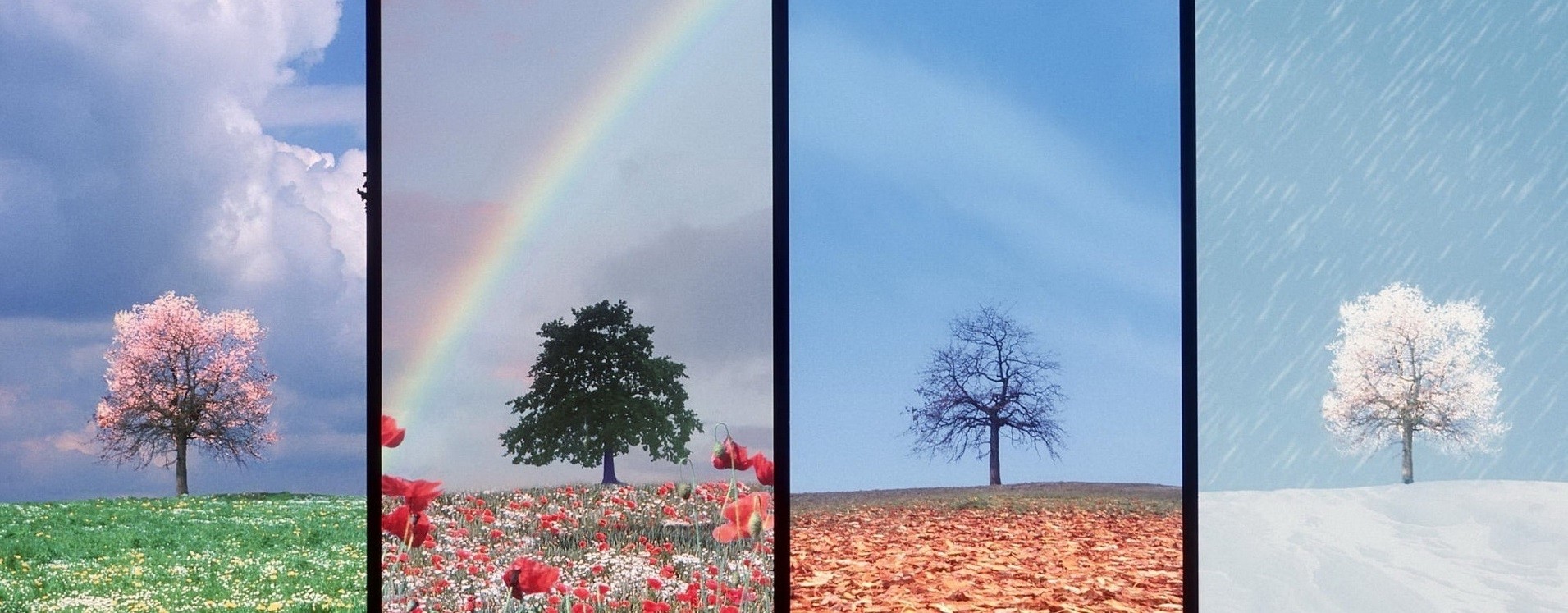 Chciałabym poznawać każdą porę roku w jego ramionach.