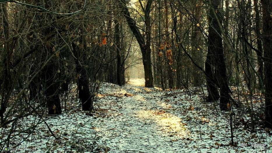 Czy szaleństwo i zło to dwie różne rzeczy, czy też …