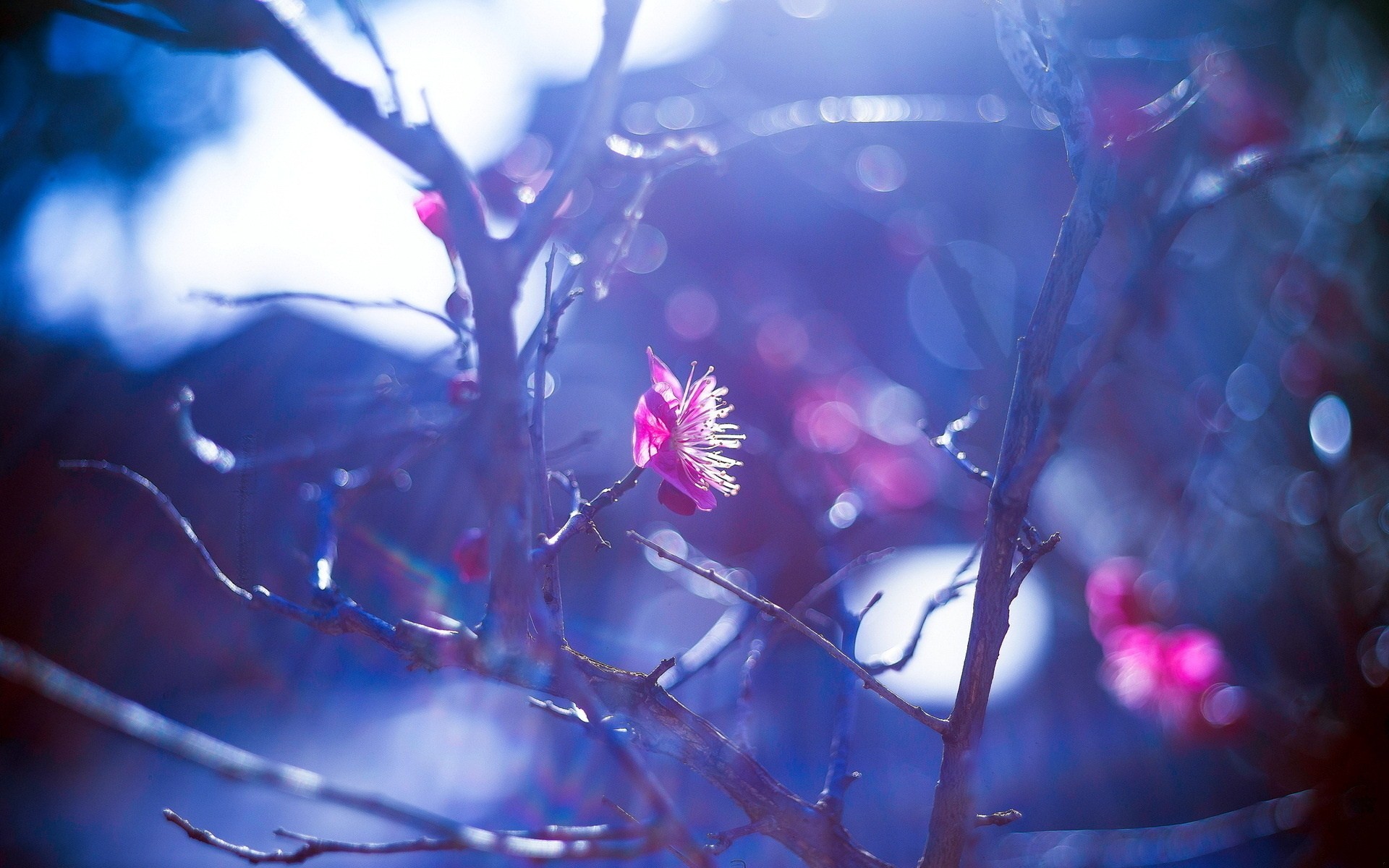 Ludzkie Istoty są z natury dobre, choć czasem o tym …