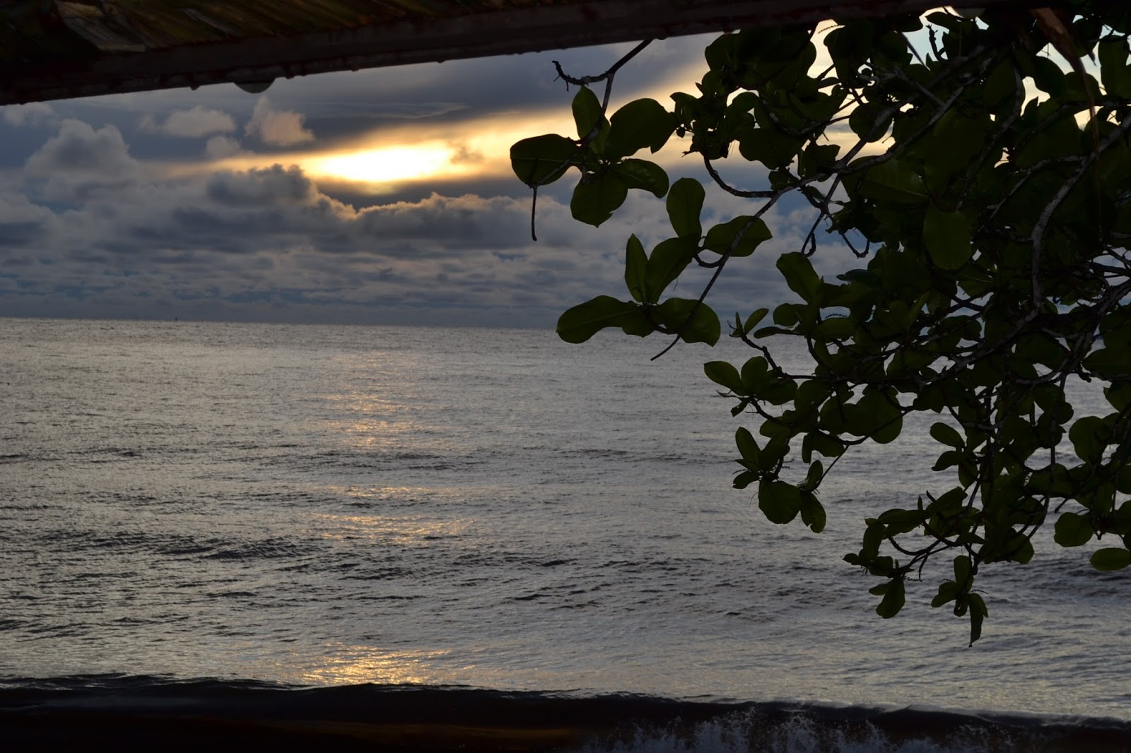 […] jestem bezradny, jestem jak organiczna definicja angielskiego słówka „pathetic”, …