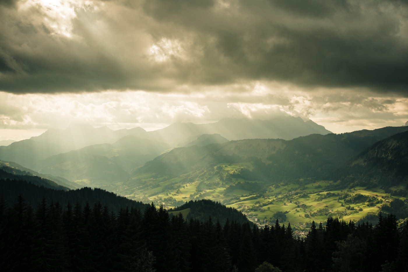 Głupi ludzie często zdolni są do rzeczy, których mądrzy nie …