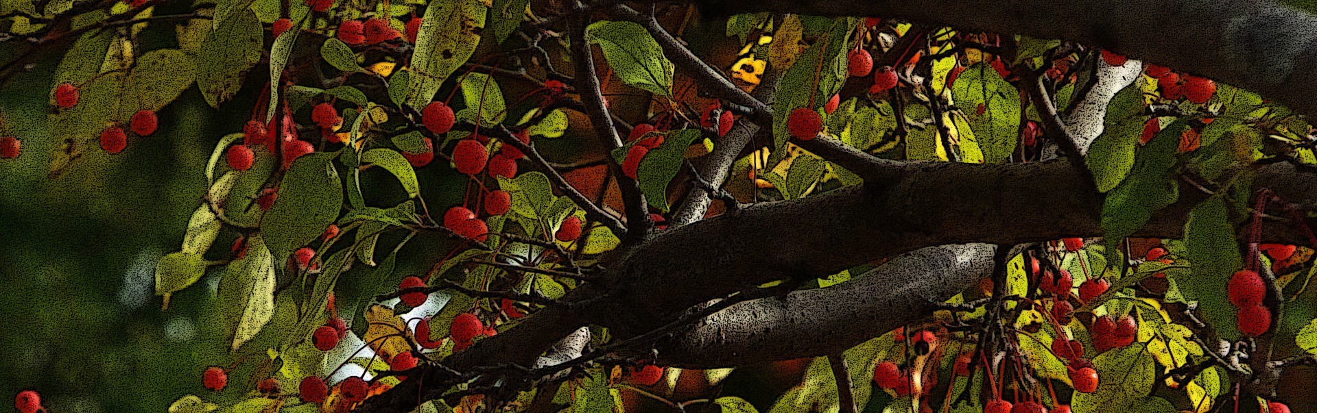 Jesteś tylko uczniem. Na myślenie przyjdzie czas.