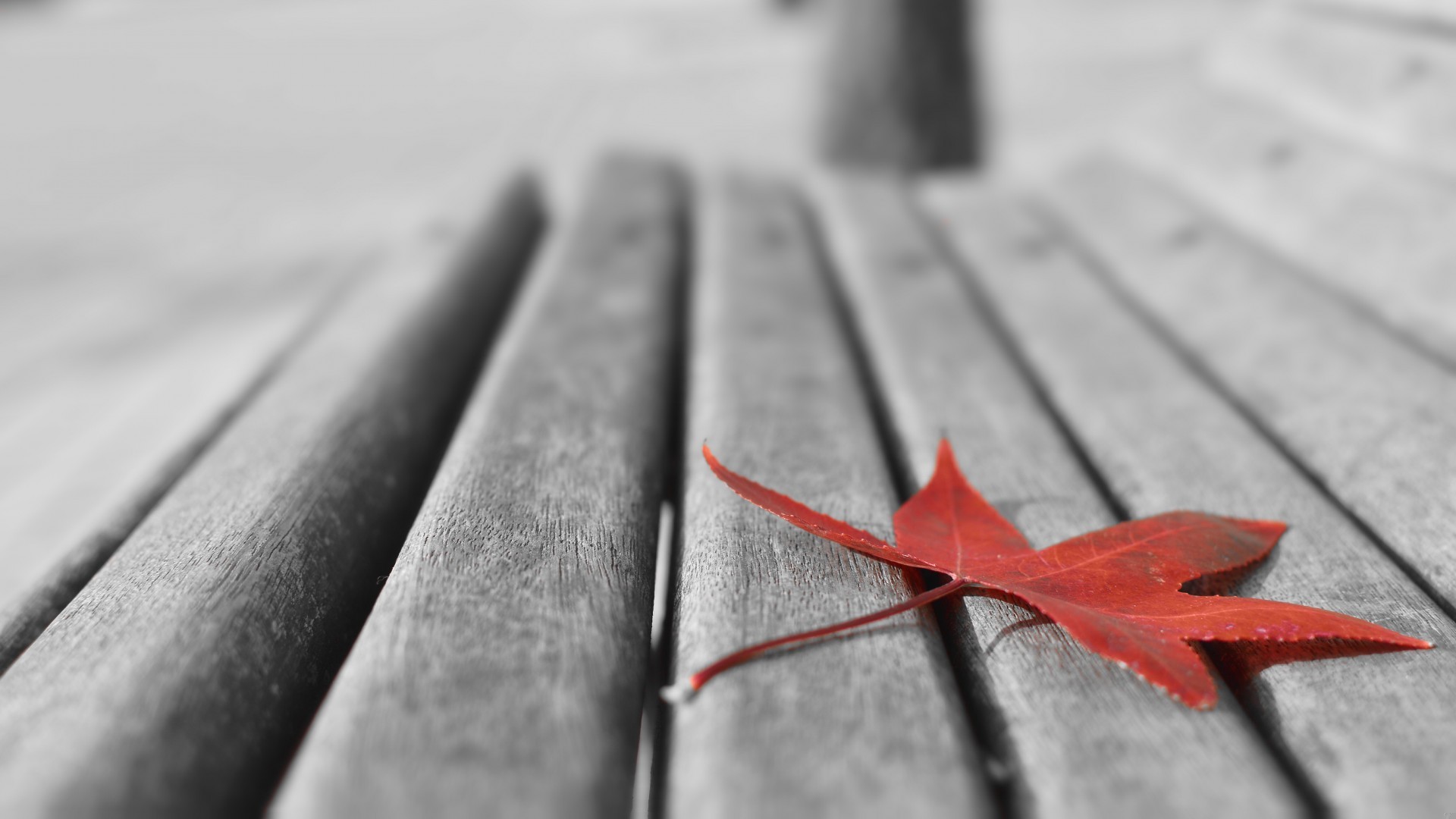 Płakanie jest w porządku, jeśli płaczesz ze szczęścia.