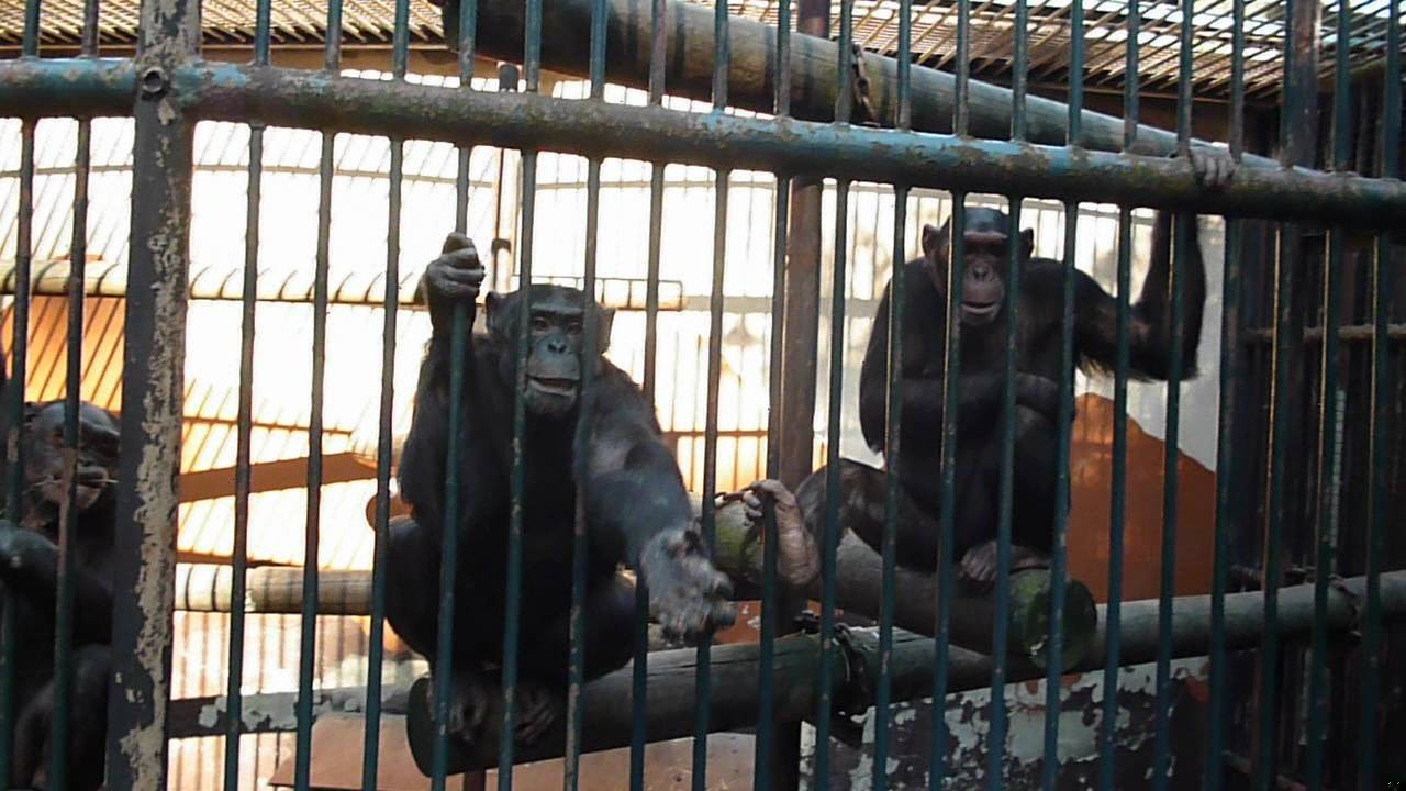 Wojna ta powinna była nauczyć nas przynajmniej jednego. Litości dla …