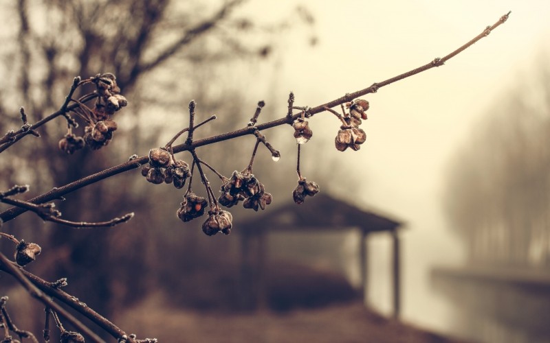 Kto czyta książki, żyje podwójnie.