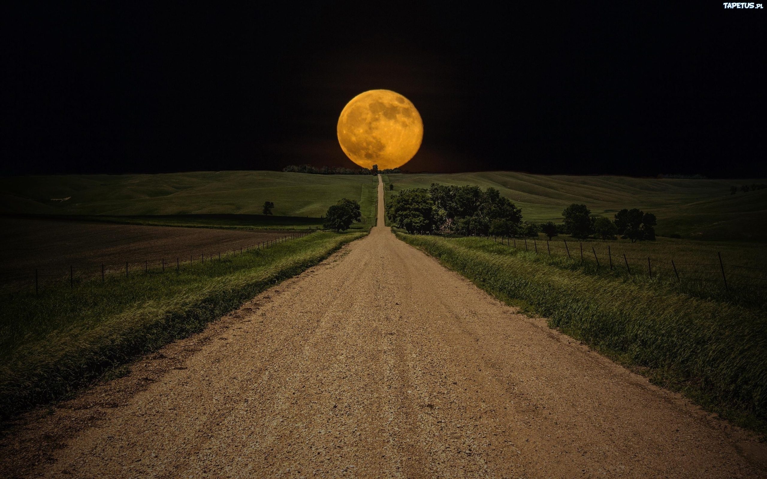 Śmierć nie jest końcem. Śmierć jest nowym początkiem.