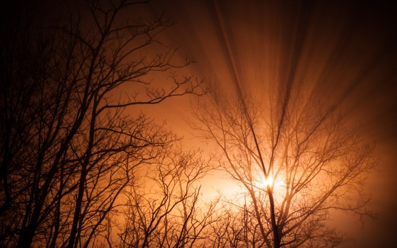 Tą niewidzialną siłą, która wprawia świat w ruch, nie są …