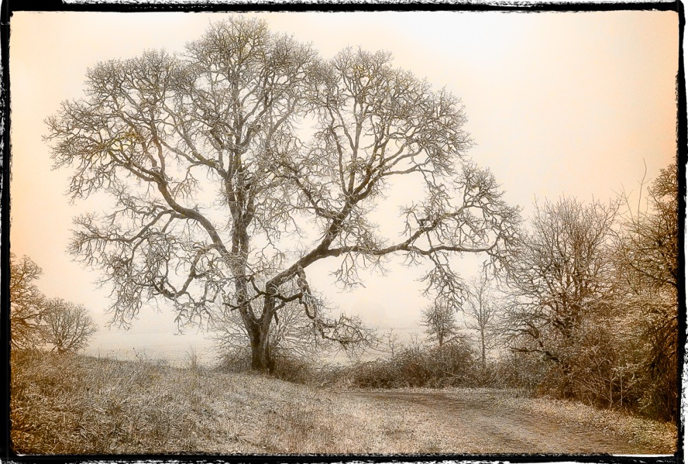 Życie jest jak butelka dobrego wina. Niektórzy zadowalają się czytaniem …