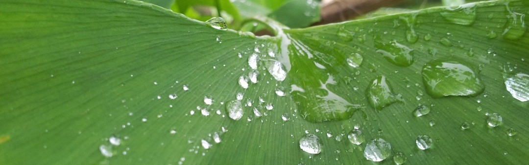 Życie, choćby i długie, zawsze będzie krótkie.