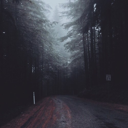 Nie boję się samotności… Boję się żyć złudzeniami, widzieć świat …