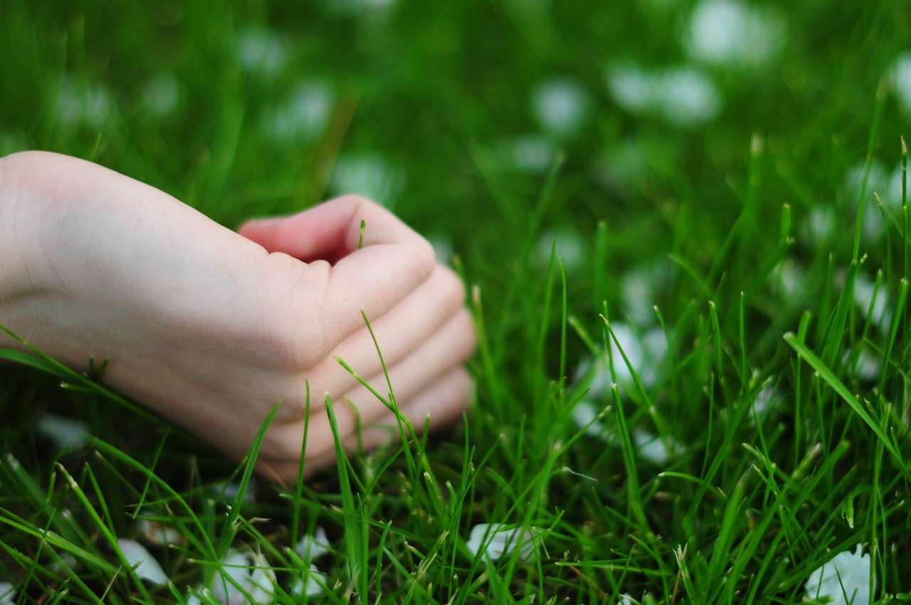 Pośród wielu jej wad jedna okazała się nie do przeskoczenia: …