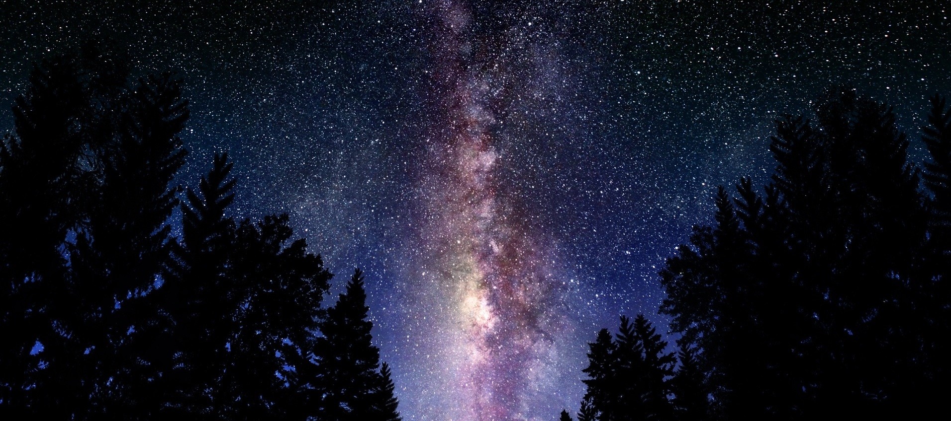 Od gwiazd pochodzimy i ku gwiazdom zmierzamy. Życie jest jedynie …