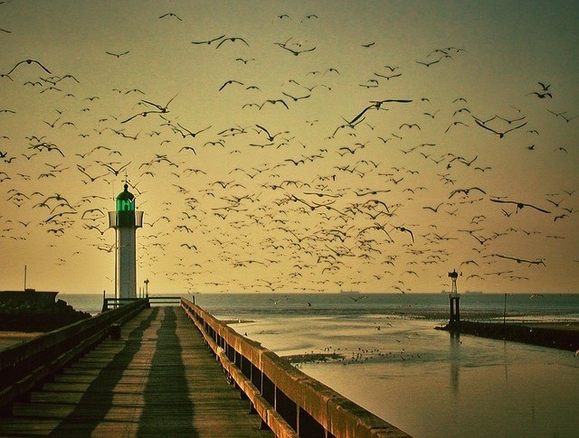 Piosenki są tak smutne jak słuchający.