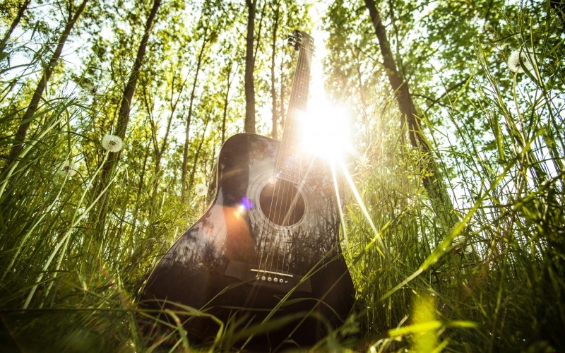 To wielka szkoda, że musimy żyć, ale prawdziwą tragedią jest …