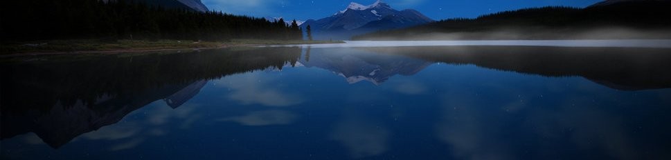 Pomyliłeś niebo z gwiazdami odbitymi nocą na powierzchni stawu.