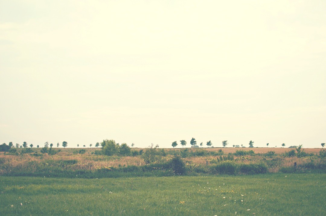 Świat jest zbyt mały, żeby zostawić go w spokoju.