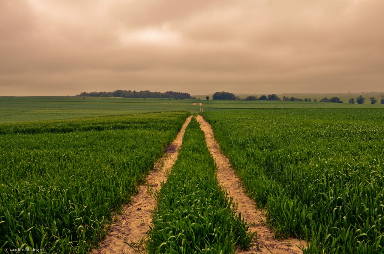 Moja mama uwielbiała sezon pożarów. Kazała mi decydować, co bym …