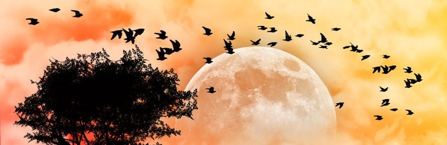 Życie to dla nas wieczne wczoraj.