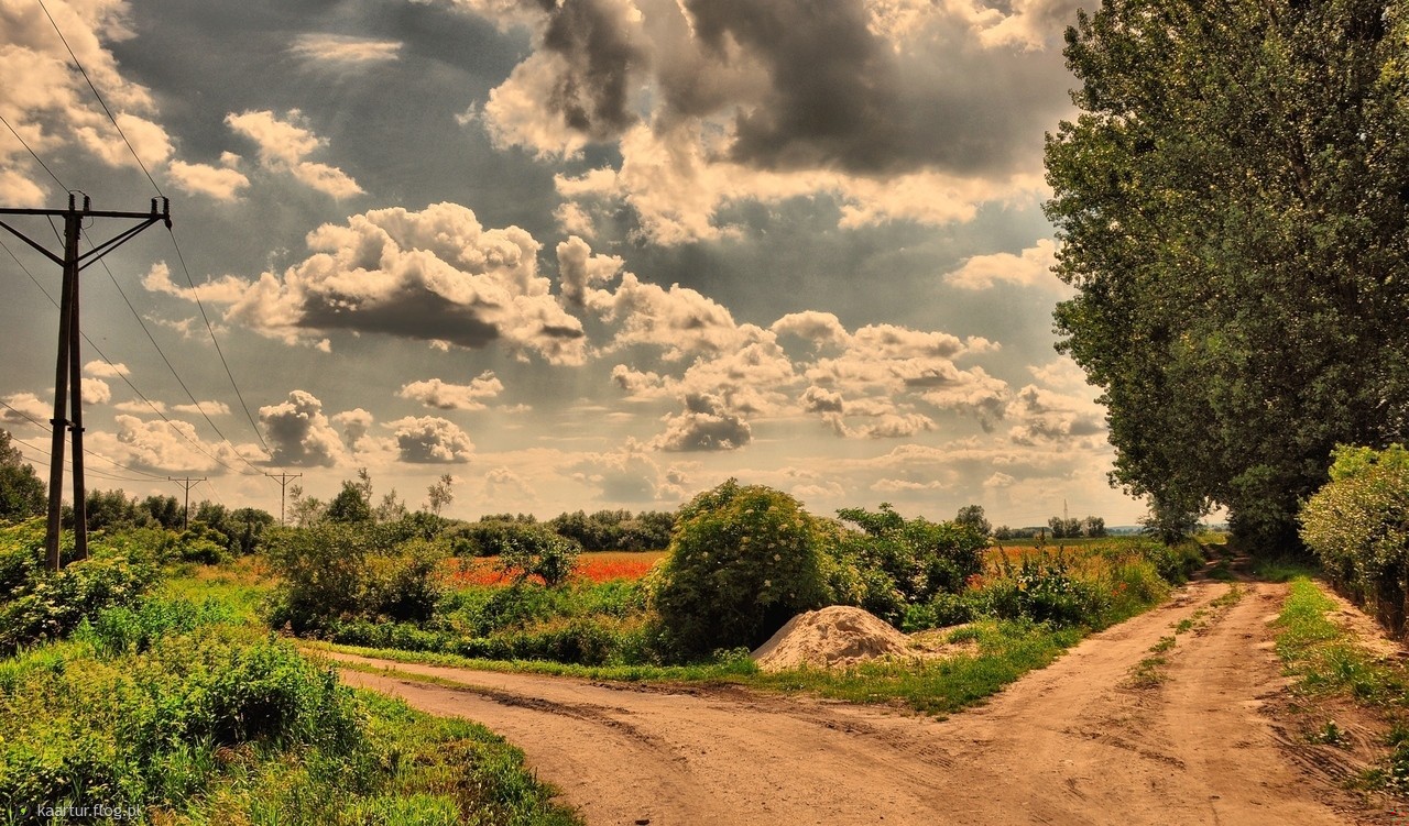 Zawsze widzimy tę najlepszą z dróg, wybieramy jednak tę, do …