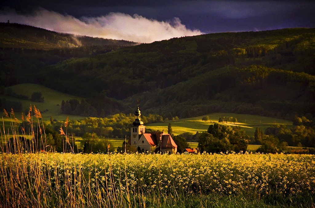 Ostatecznie wszyscy mamy do opowiedzenia tylko jedną historię. Potrzeba całego …