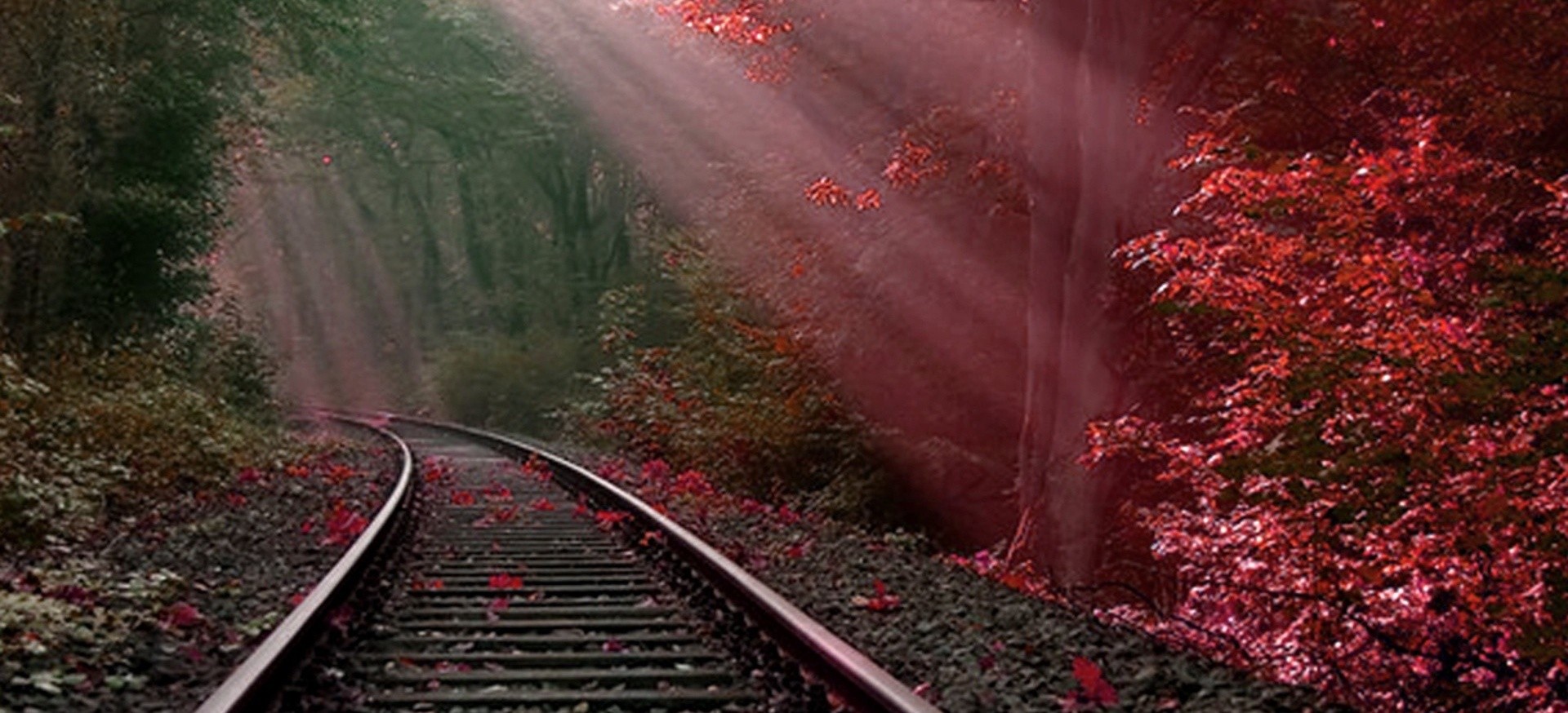 Jedyny sposób, by odkryć granice możliwości, to przekroczyć je i …