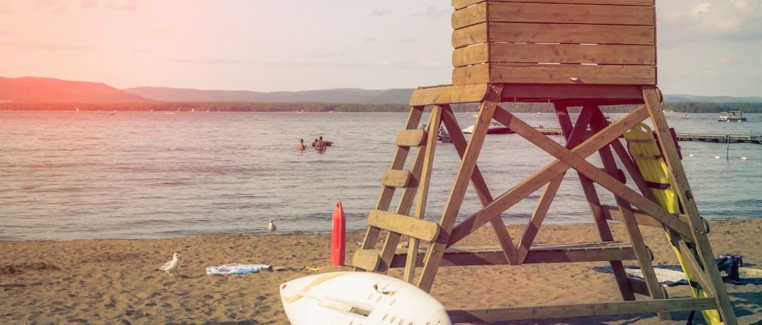 Byłem szlachetnym sokołem, panem nieba! Zerwałem się z chodnika i …