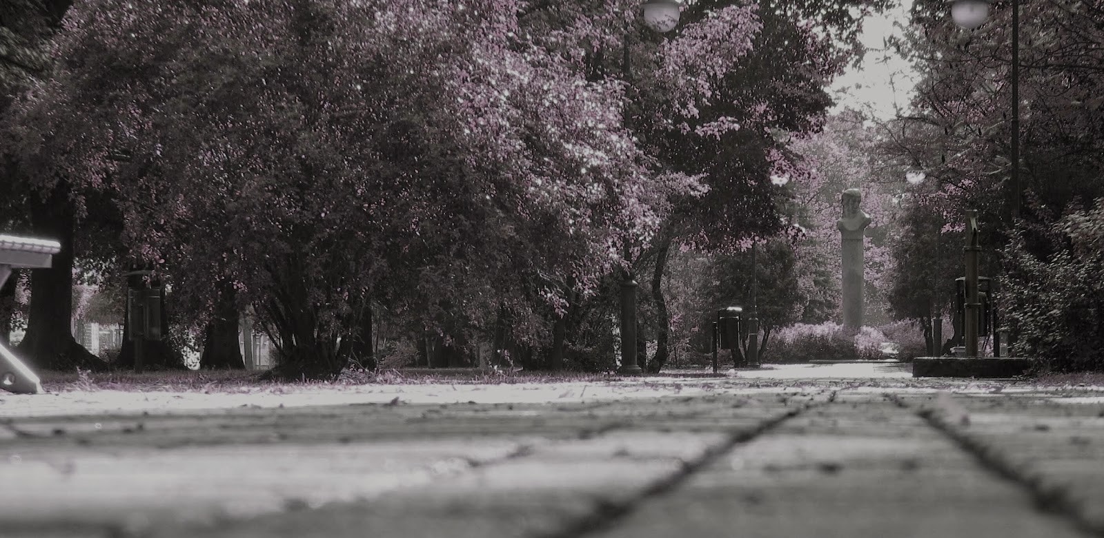 (…) było tak sucho, że jedno słowo mogło zaprószyć w …