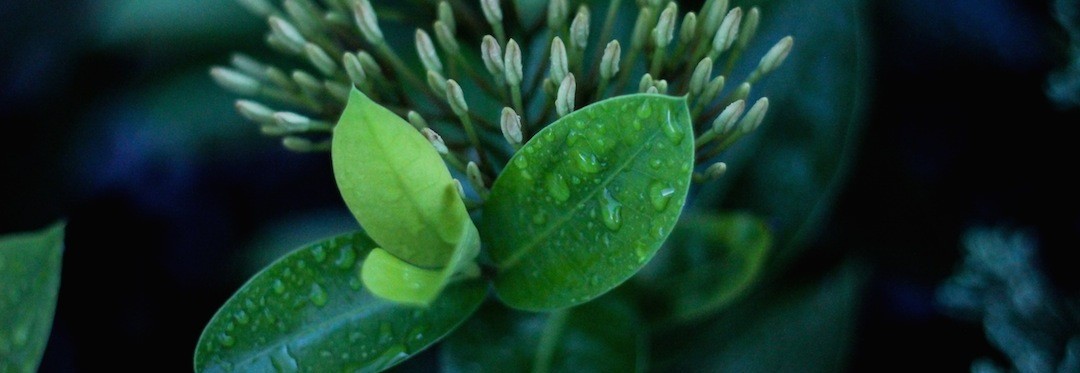 Księża i naukowcy mają rację co do jednej rzeczy: w …