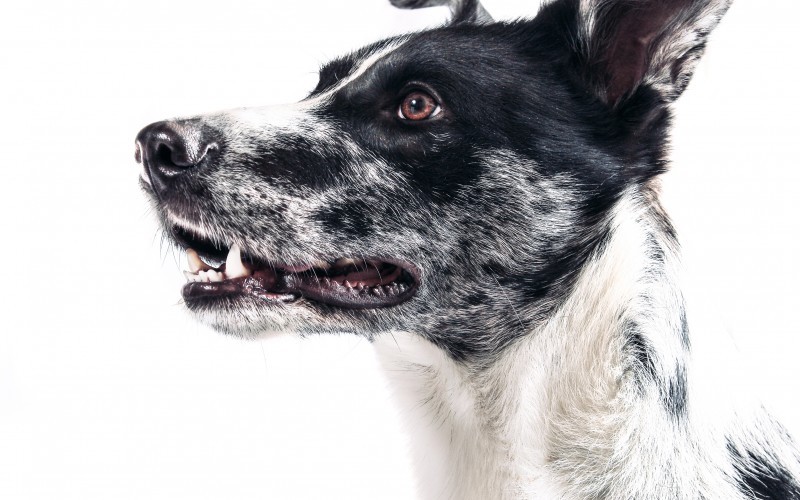 Wszyscy otrzymują to, czego pragną, lecz nie zawsze przynosi im …